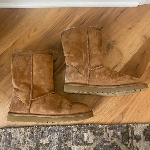 Ugg chestnut short II - Picture 3 of 13